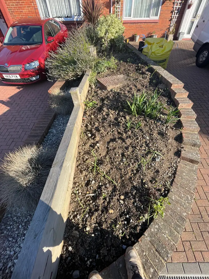 Bare soil front garden bed with sparse planting